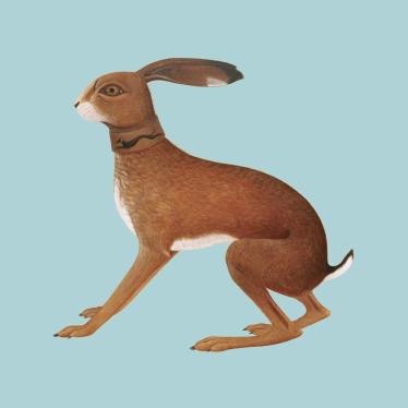 Vashti Bunyan.jpg